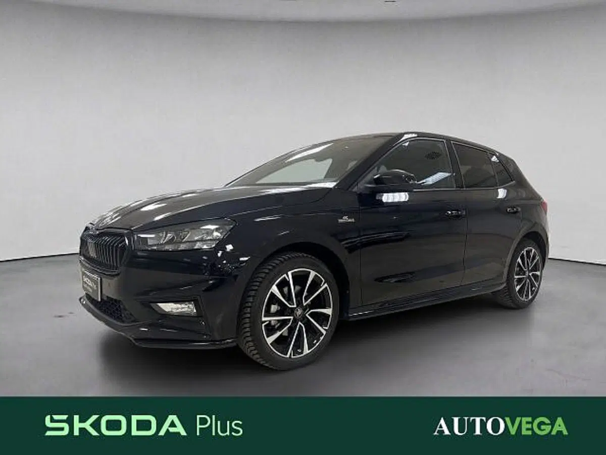 Skoda Fabia usata a Vicenza