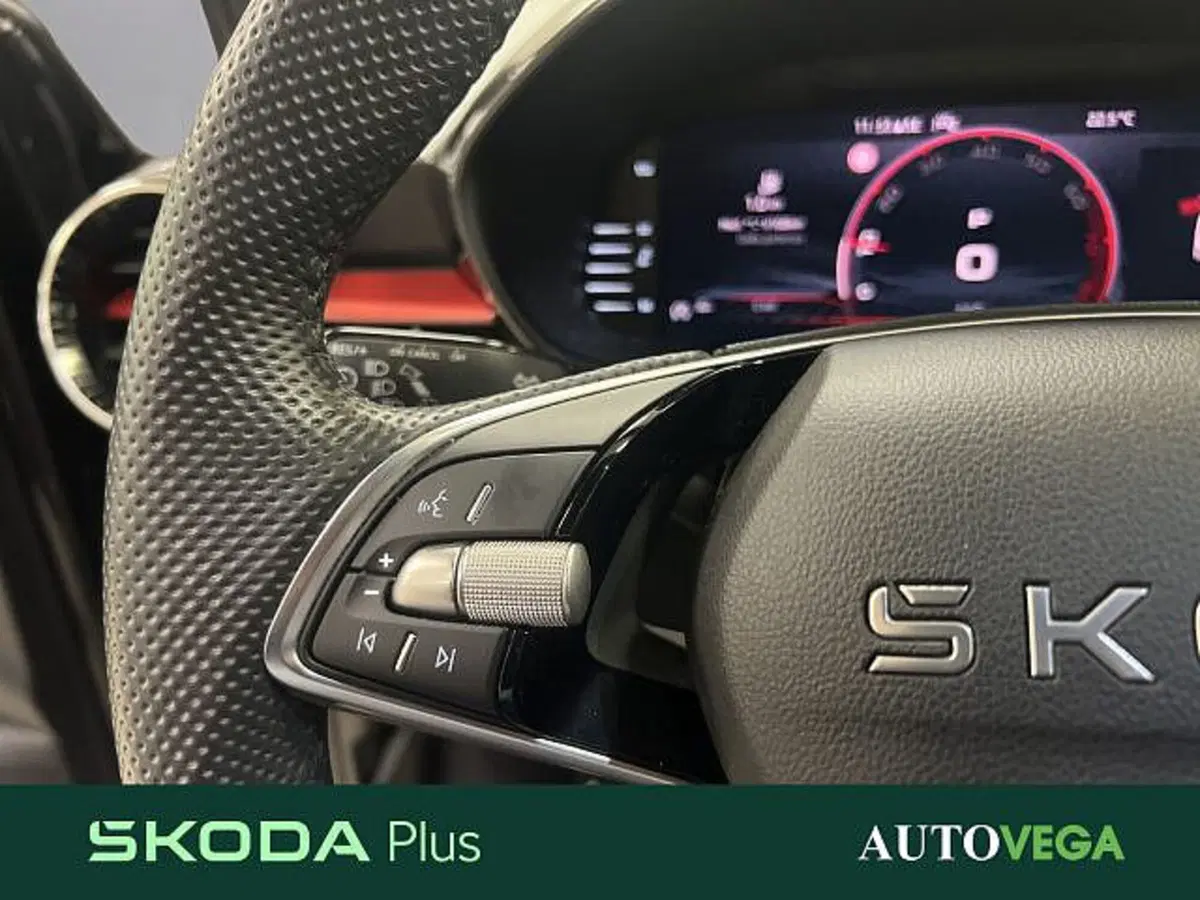 Skoda Fabia usata a Vicenza (16)