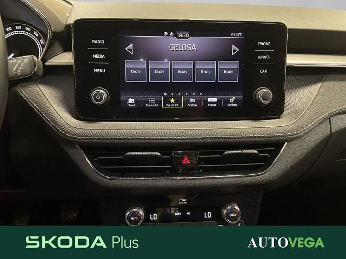 Skoda Fabia usata a Vicenza (10)