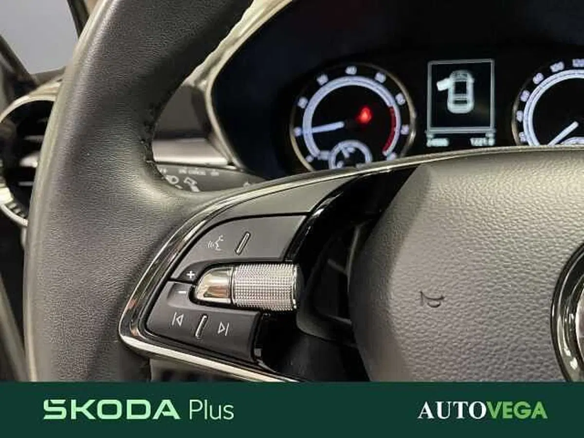 Skoda Fabia usata a Vicenza (16)