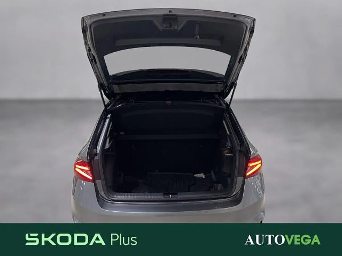 Skoda Fabia usata a Vicenza (17)