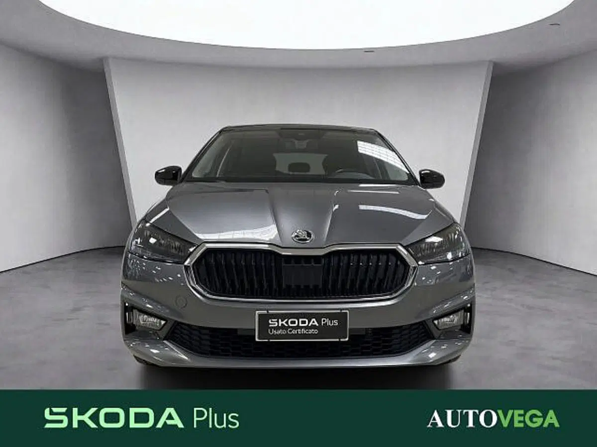 Skoda Fabia usata a Vicenza (2)