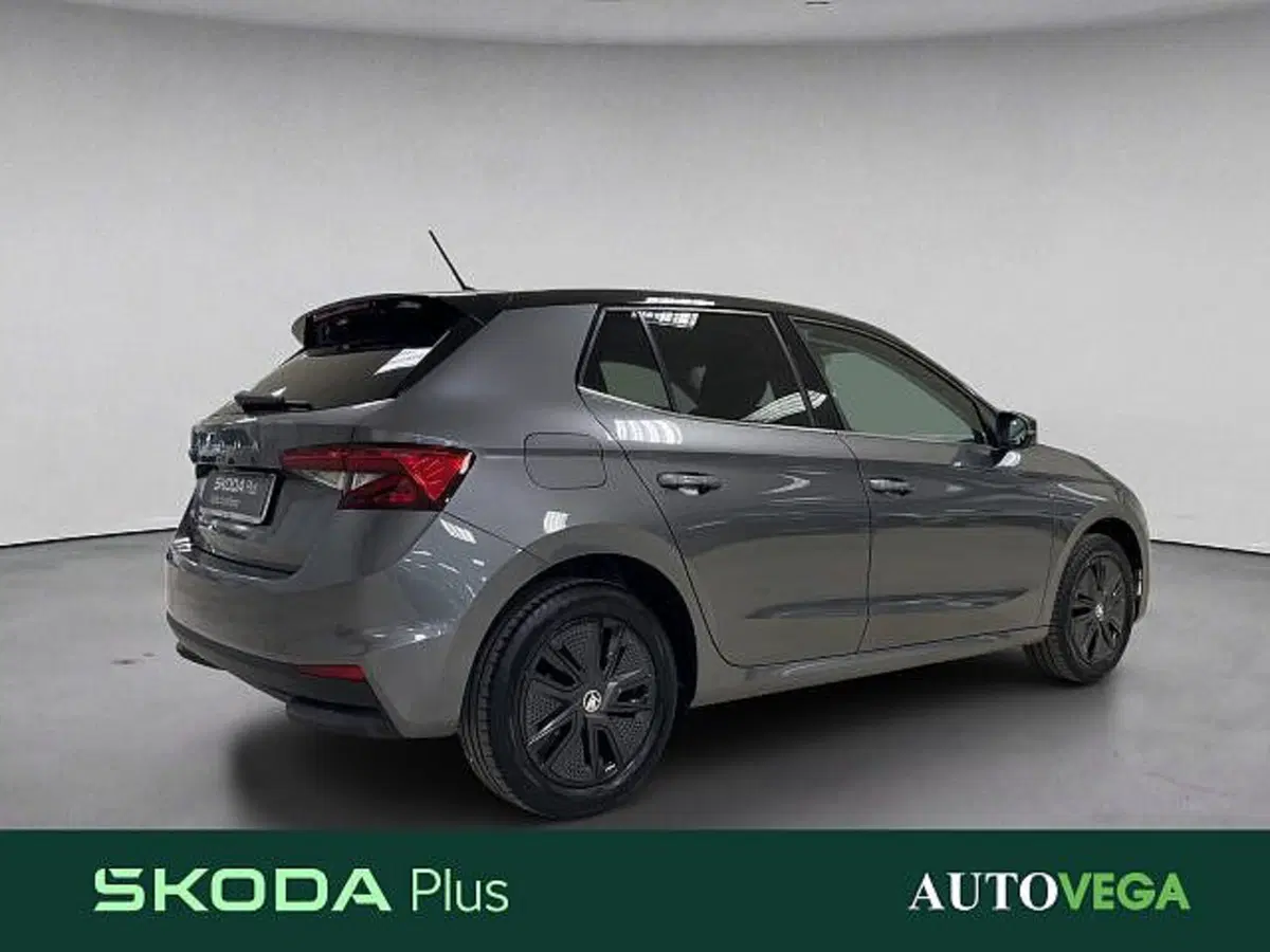 Skoda Fabia usata a Vicenza (4)