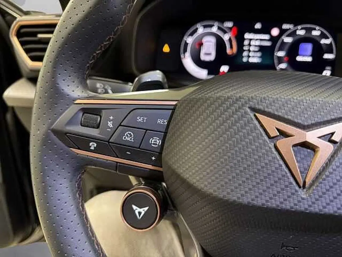 Cupra Leon usata a Vicenza (16)