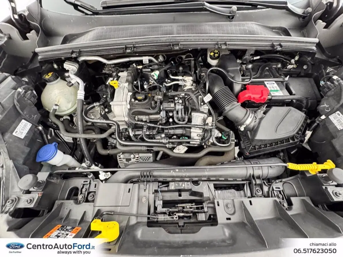 Ford Puma usata a Roma (11)