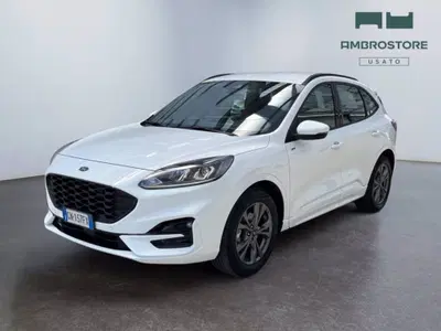 Ford Kuga 2.5 Full Hybrid 190 CV CVT 2WD ST-Line Design del 2023 usata a Segrate