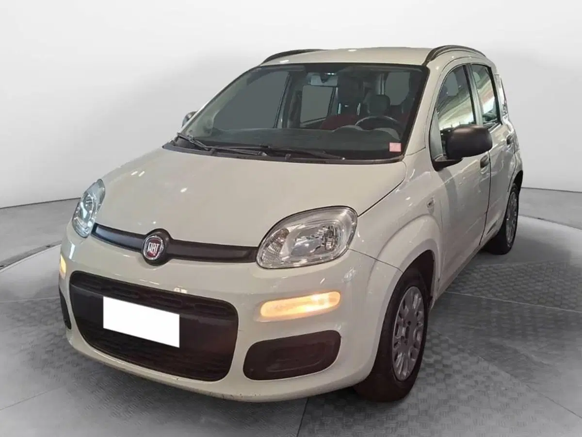 Fiat Panda usata a Torino