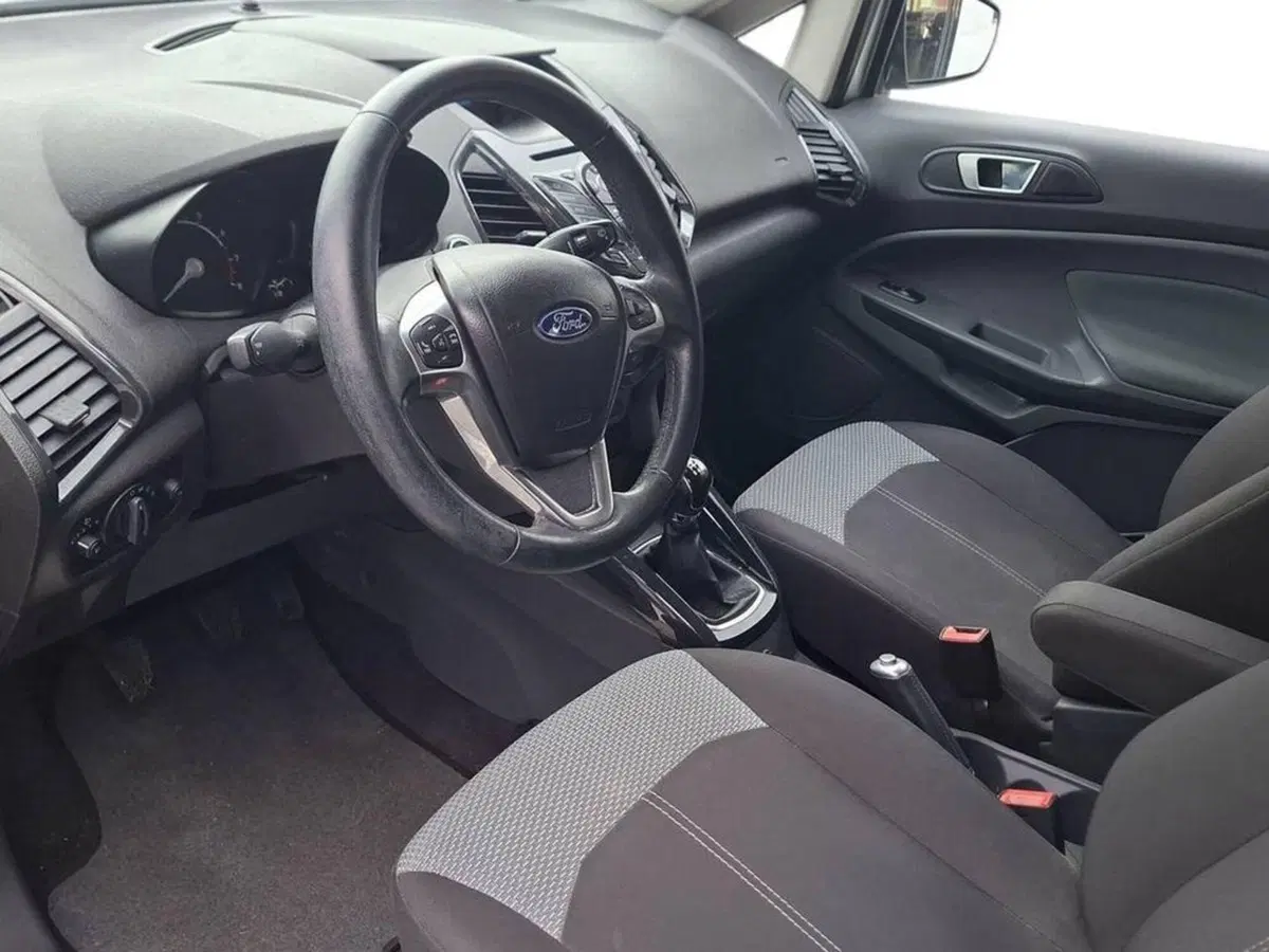 Ford EcoSport usata a Torino (11)