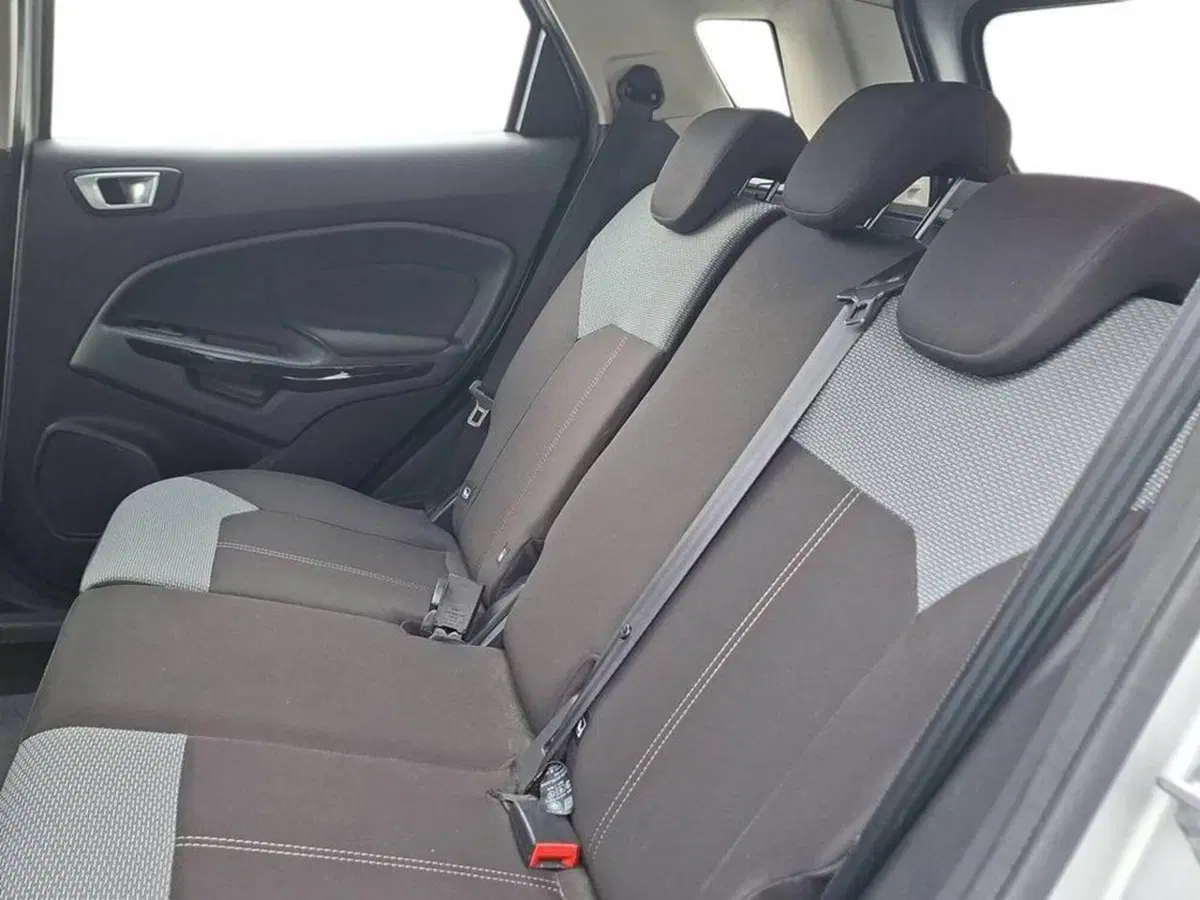 Ford EcoSport usata a Torino (13)