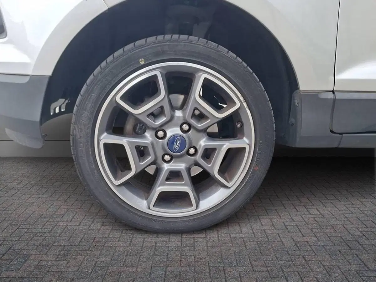 Ford EcoSport usata a Torino (7)