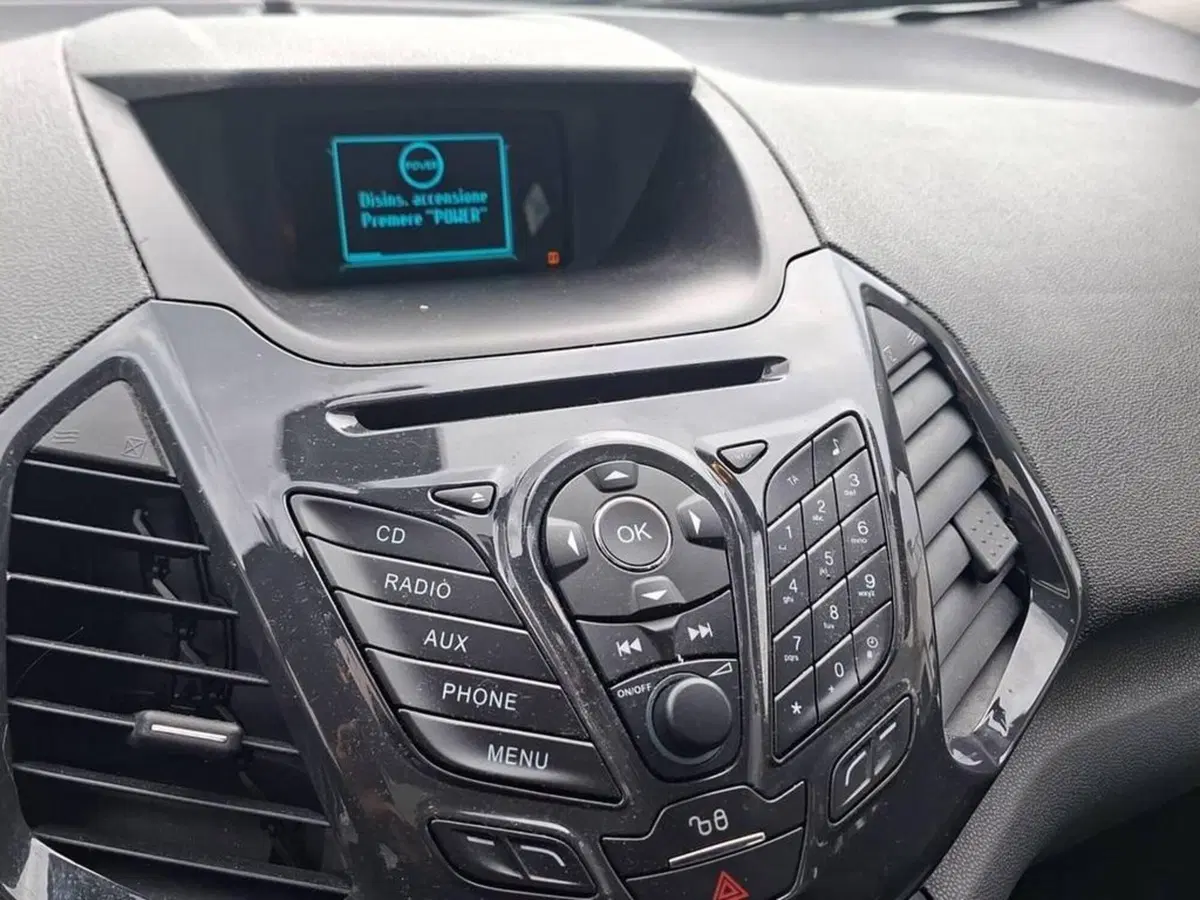 Ford EcoSport usata a Torino (9)