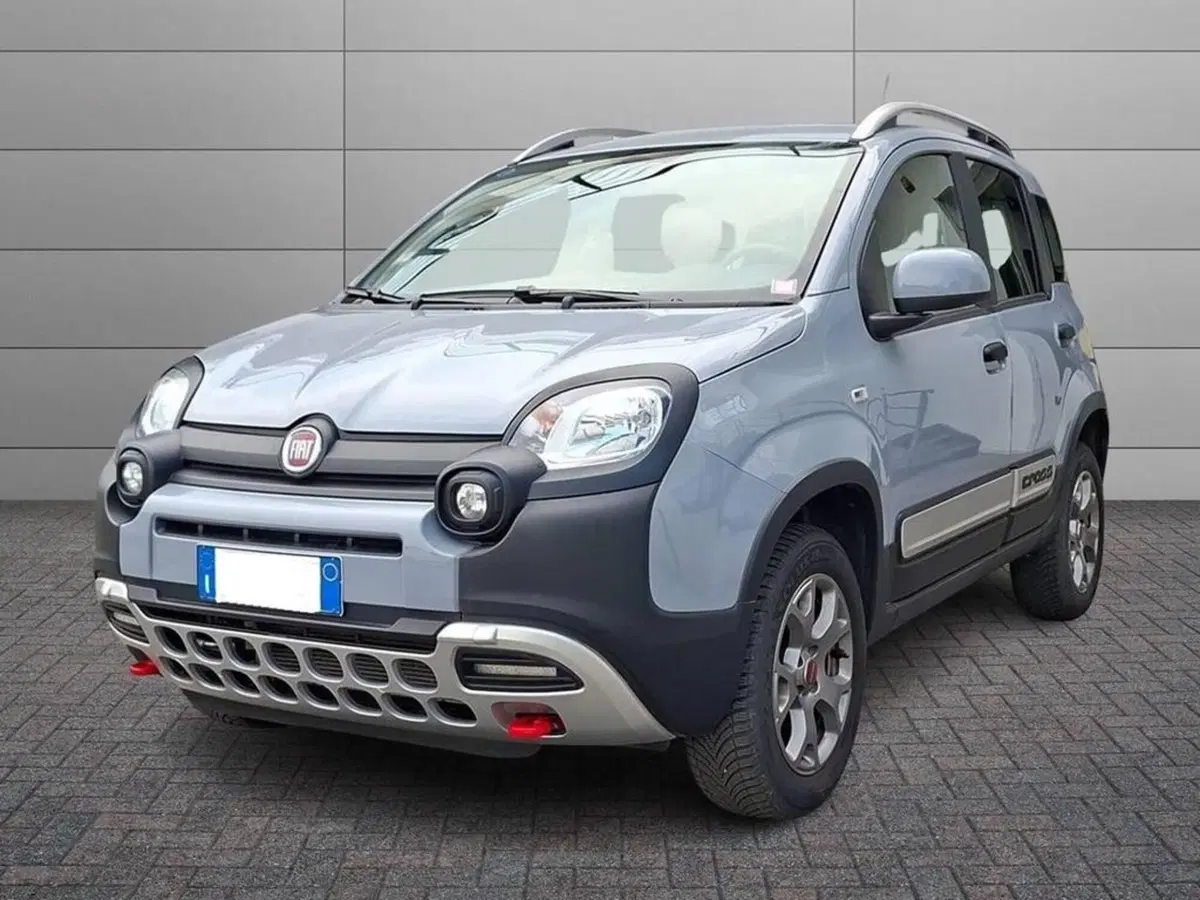 Fiat Panda usata a Torino