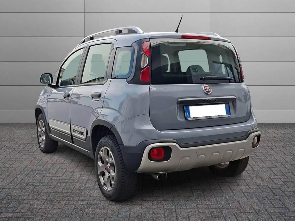 Fiat Panda usata a Torino (2)