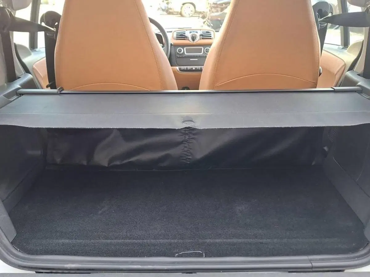smart Fortwo usata a Torino (12)