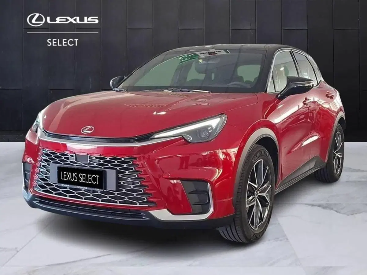 Lexus LBX usata a Torino