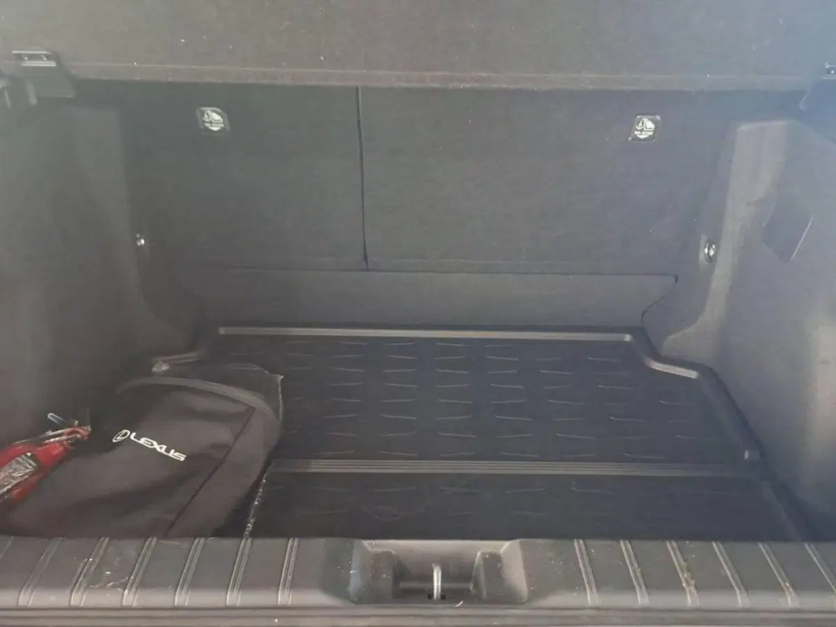 Lexus LBX usata a Torino (14)
