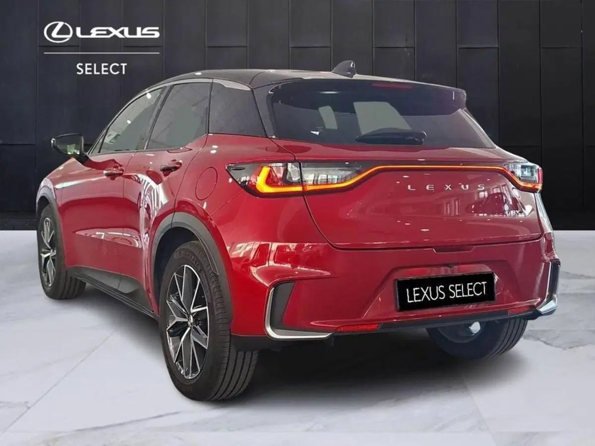Lexus LBX usata a Torino (3)