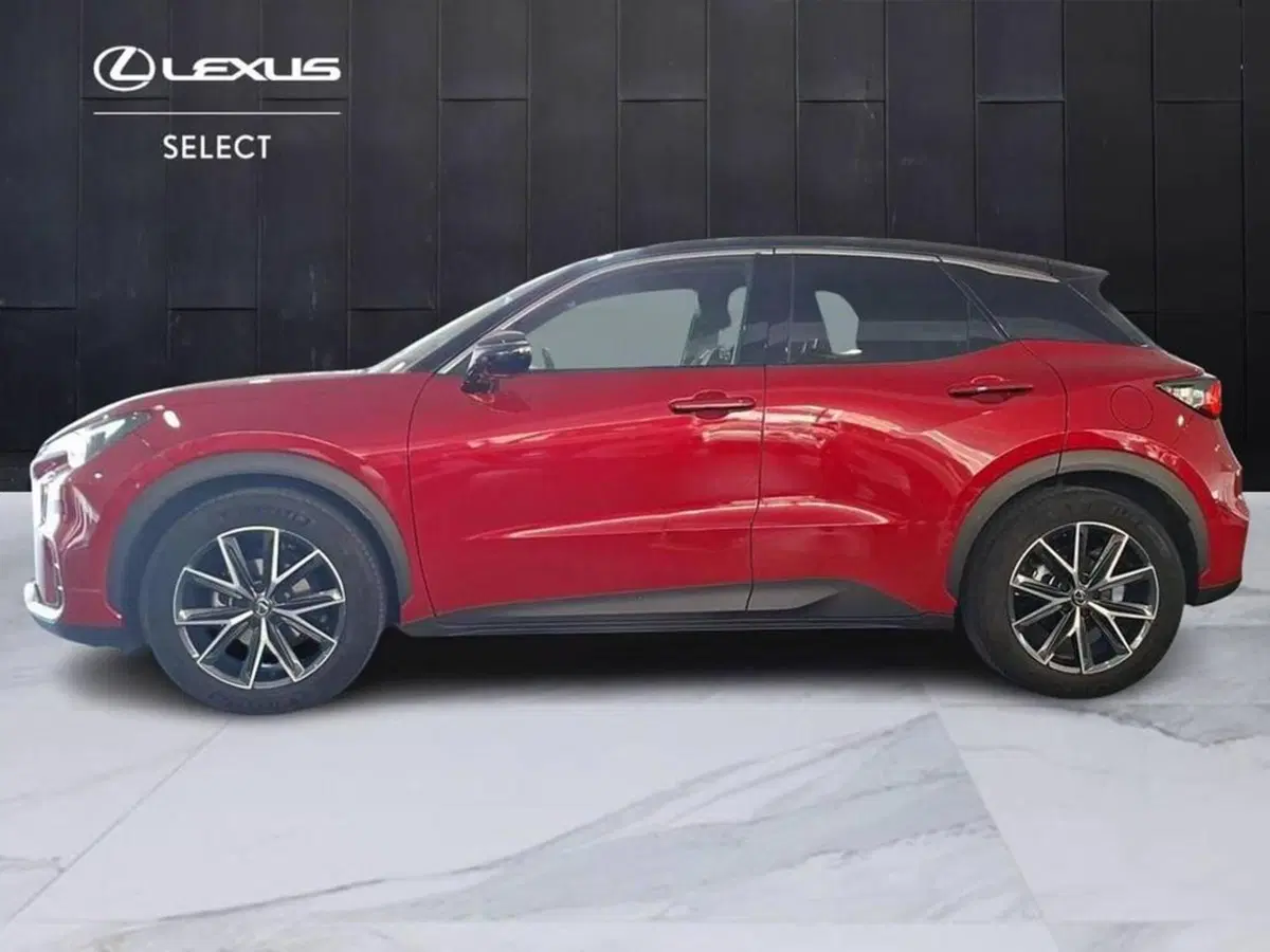Lexus LBX usata a Torino (5)
