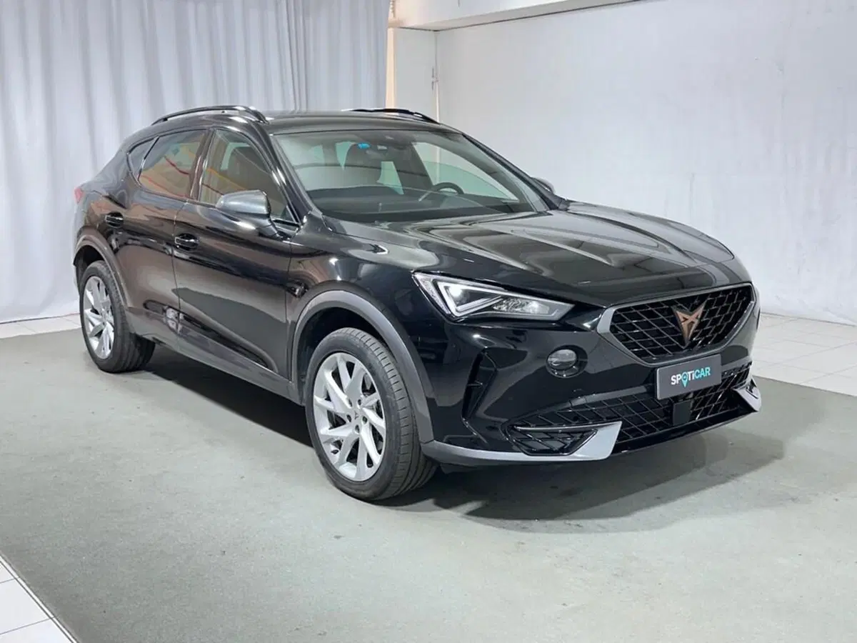 Cupra Formentor usata a Sondrio (8)