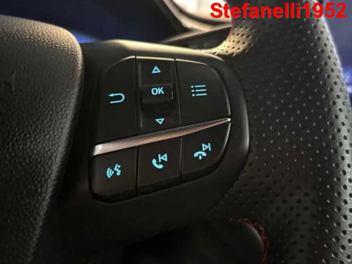 Ford Puma usata a Bologna (19)