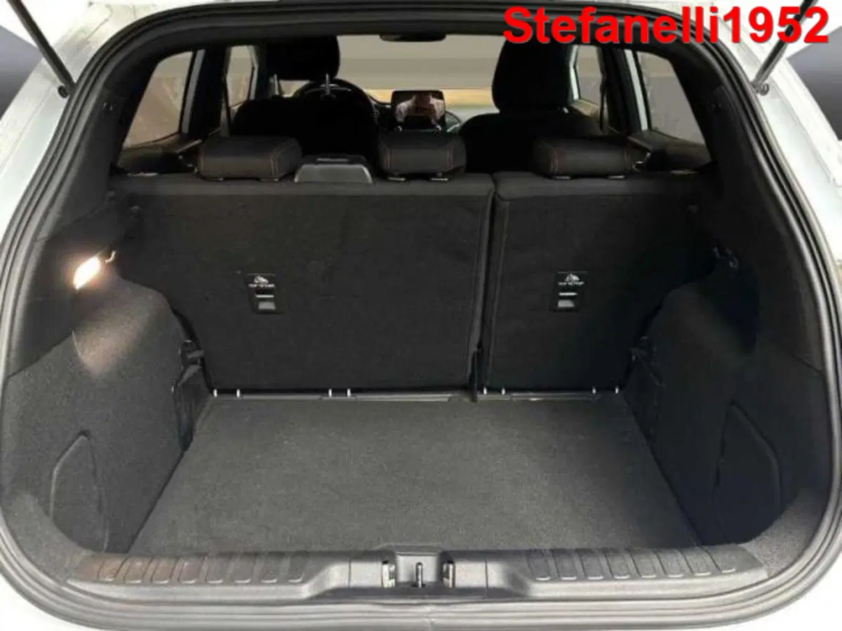 Ford Puma usata a Bologna (7)