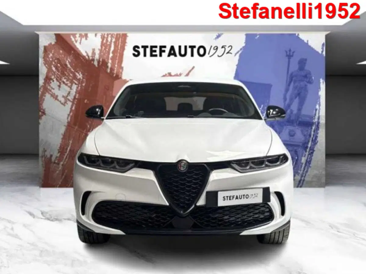 Alfa Romeo Tonale usata a Bologna (2)