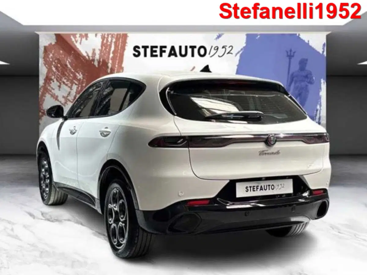 Alfa Romeo Tonale usata a Bologna (5)