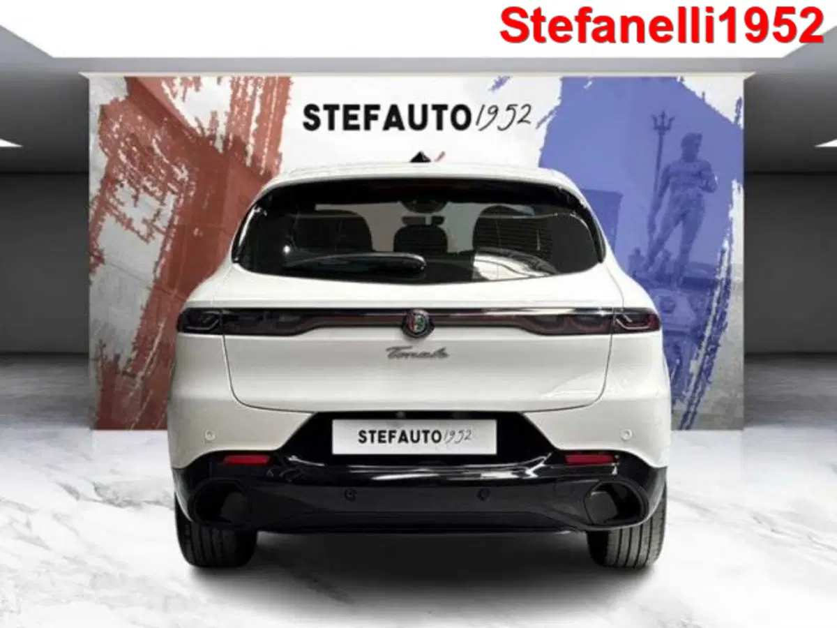Alfa Romeo Tonale usata a Bologna (6)
