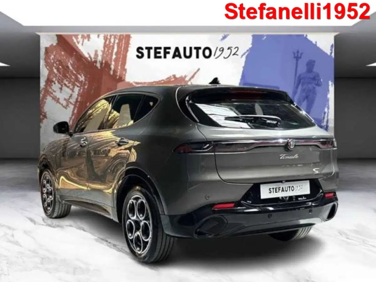 Alfa Romeo Tonale usata a Bologna (5)