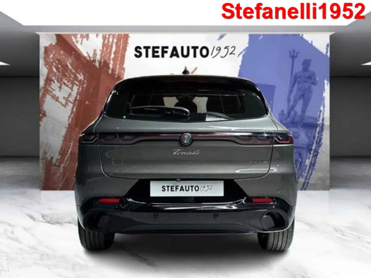 Alfa Romeo Tonale usata a Bologna (6)