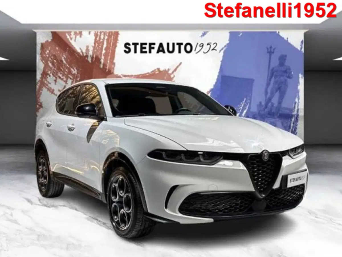 Alfa Romeo Tonale usata a Bologna