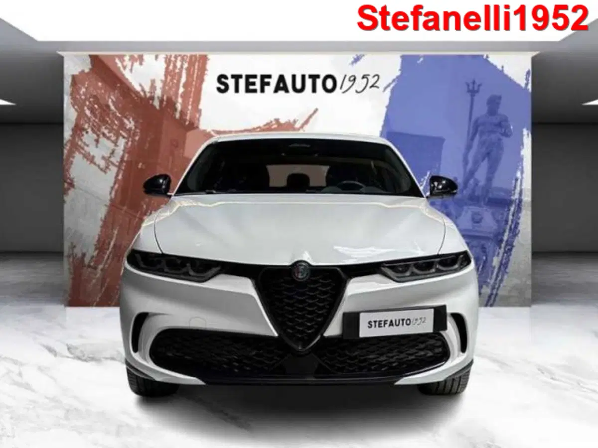 Alfa Romeo Tonale usata a Bologna (2)