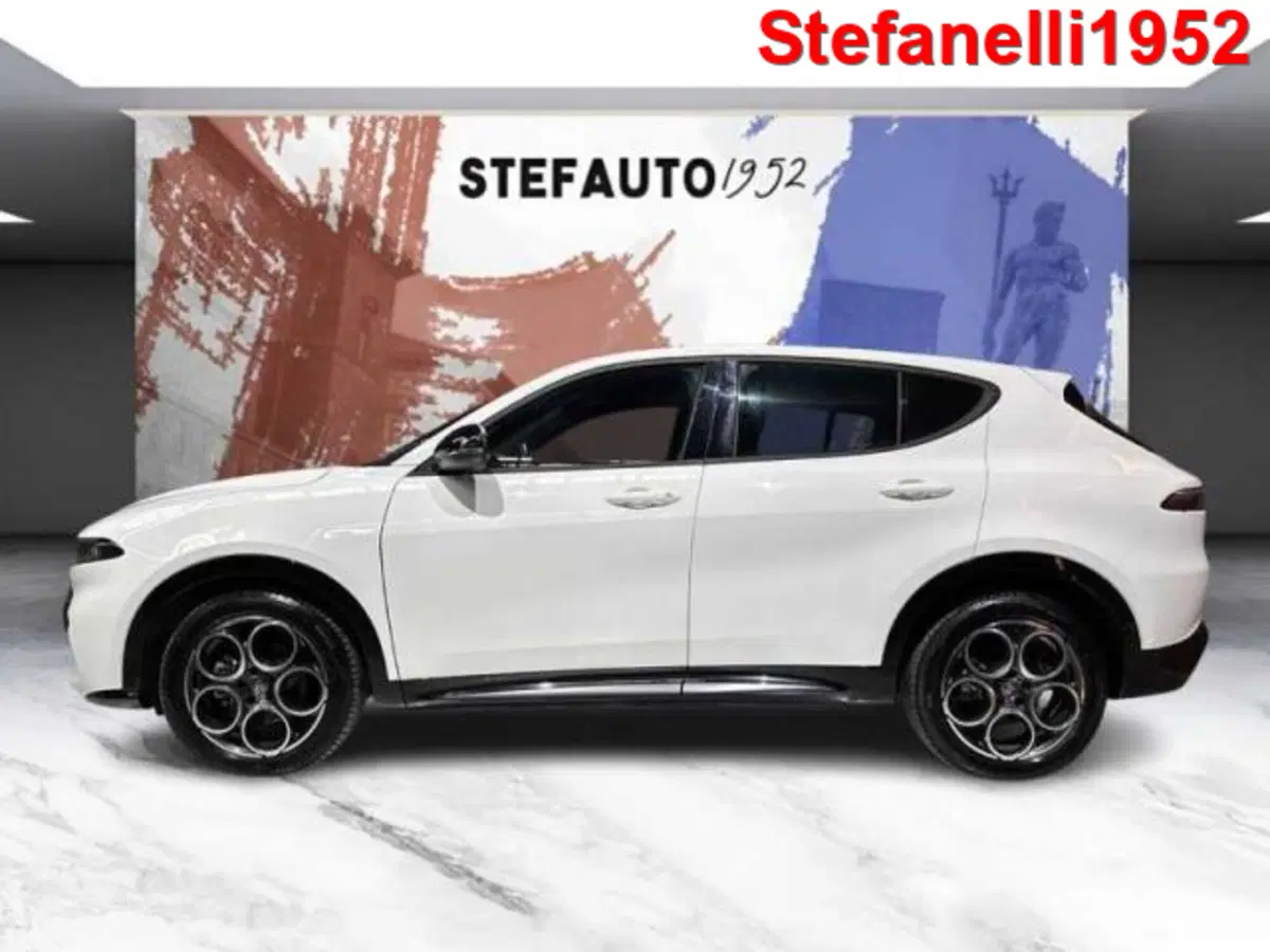 Alfa Romeo Tonale usata a Bologna (4)