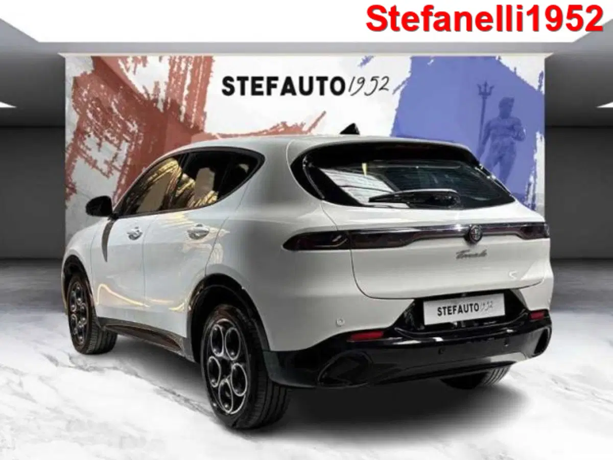 Alfa Romeo Tonale usata a Bologna (5)
