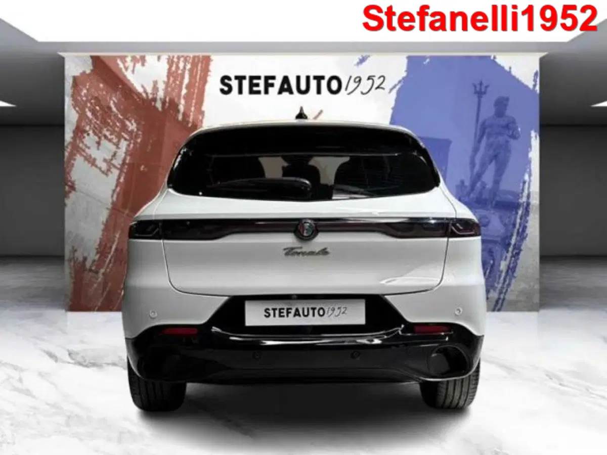 Alfa Romeo Tonale usata a Bologna (6)