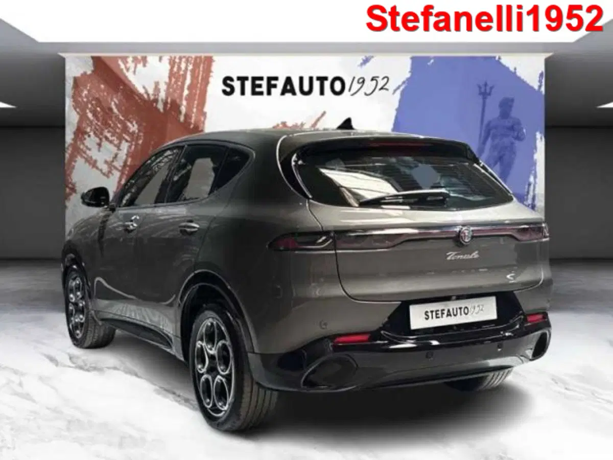 Alfa Romeo Tonale usata a Bologna (5)