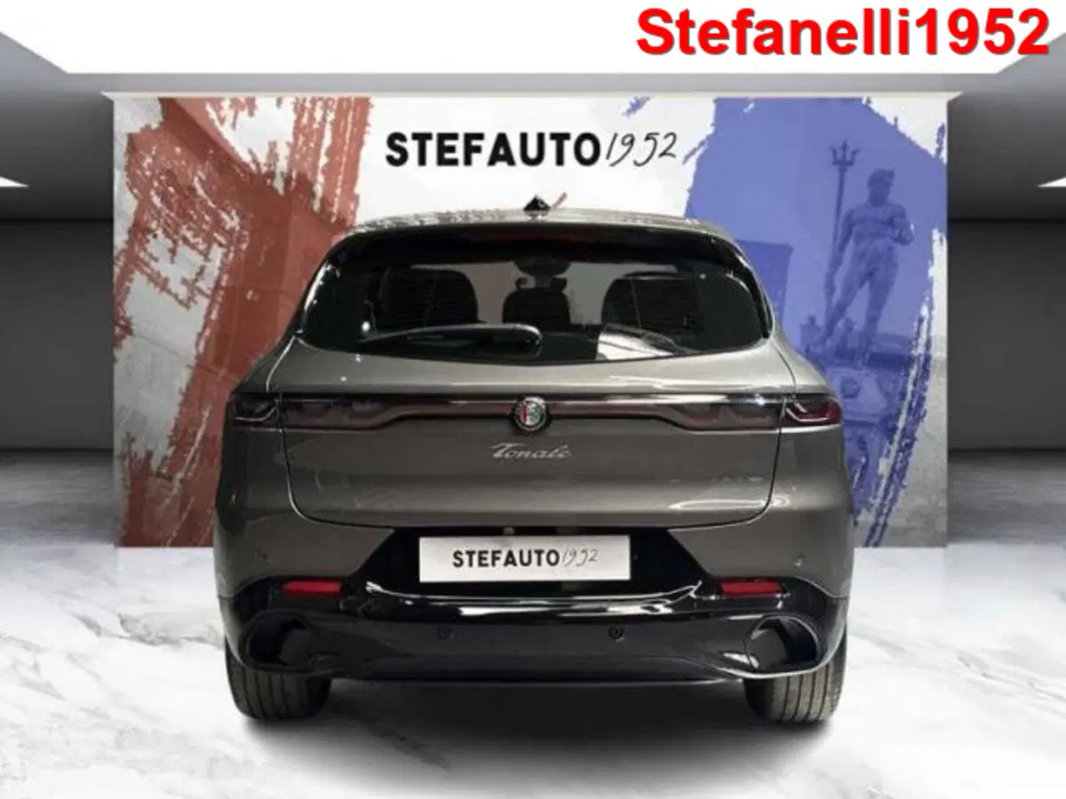 Alfa Romeo Tonale usata a Bologna (6)