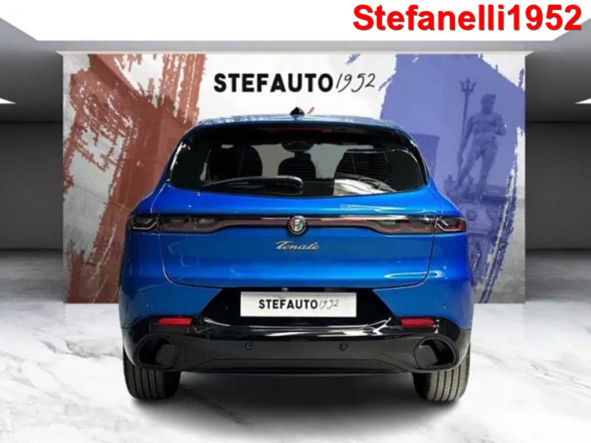 Alfa Romeo Tonale usata a Bologna (6)