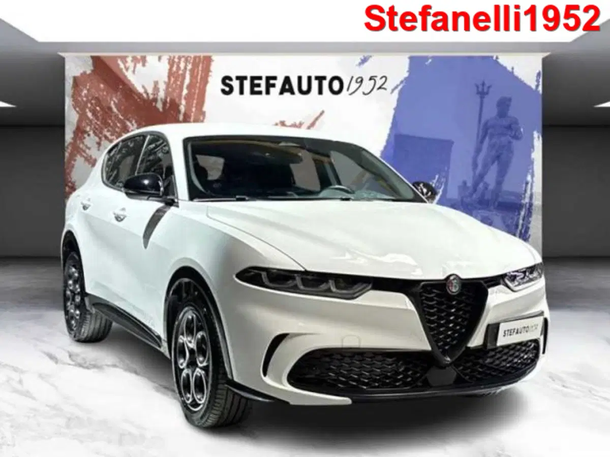 Alfa Romeo Tonale usata a Bologna