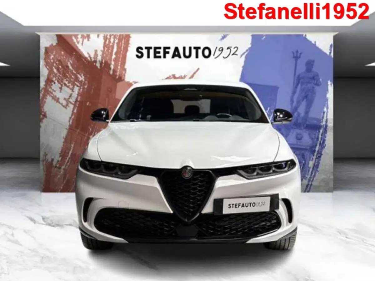 Alfa Romeo Tonale usata a Bologna (2)