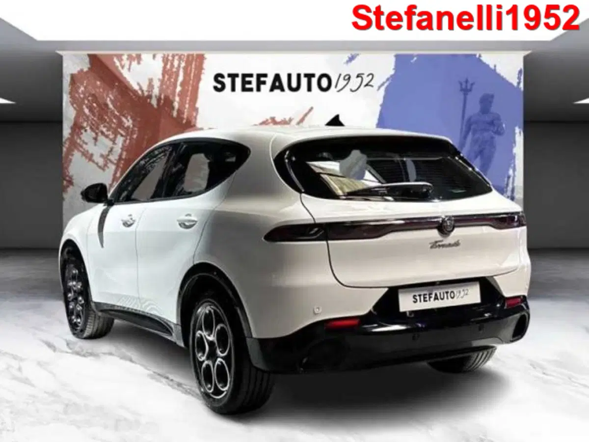 Alfa Romeo Tonale usata a Bologna (5)