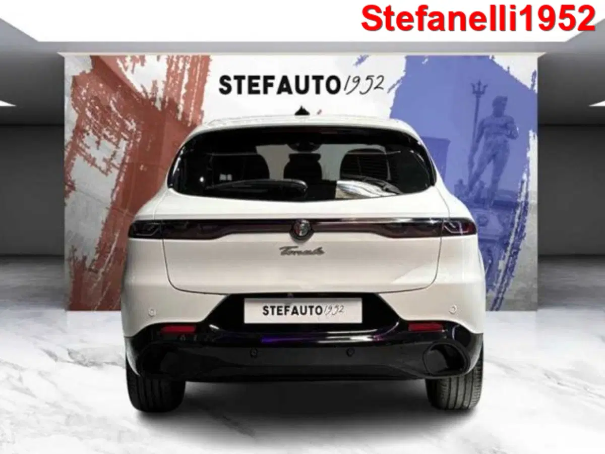 Alfa Romeo Tonale usata a Bologna (6)