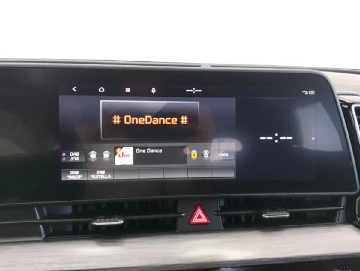 Kia Sportage usata a Como (13)