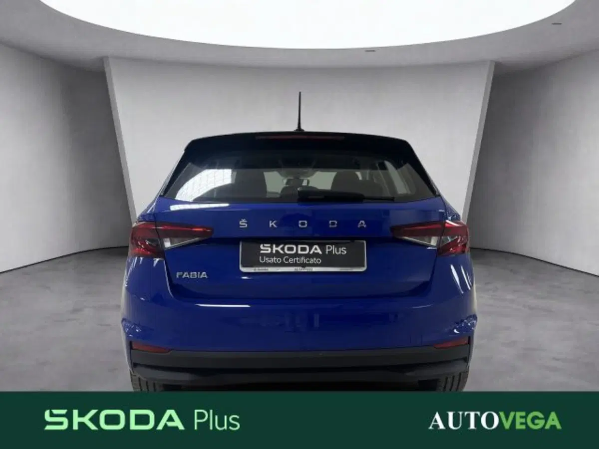 Skoda Fabia usata a Vicenza (10)