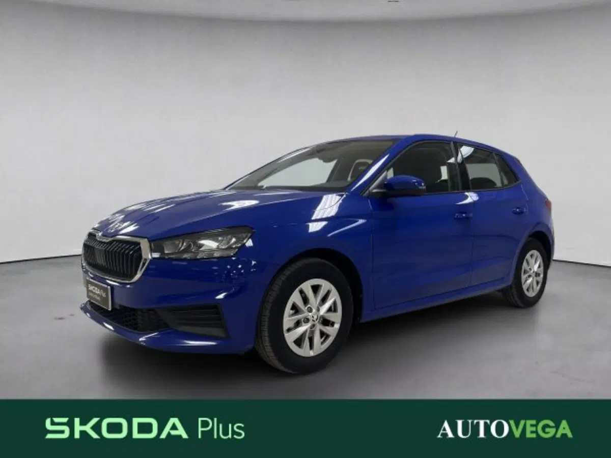 Skoda Fabia usata a Vicenza (2)