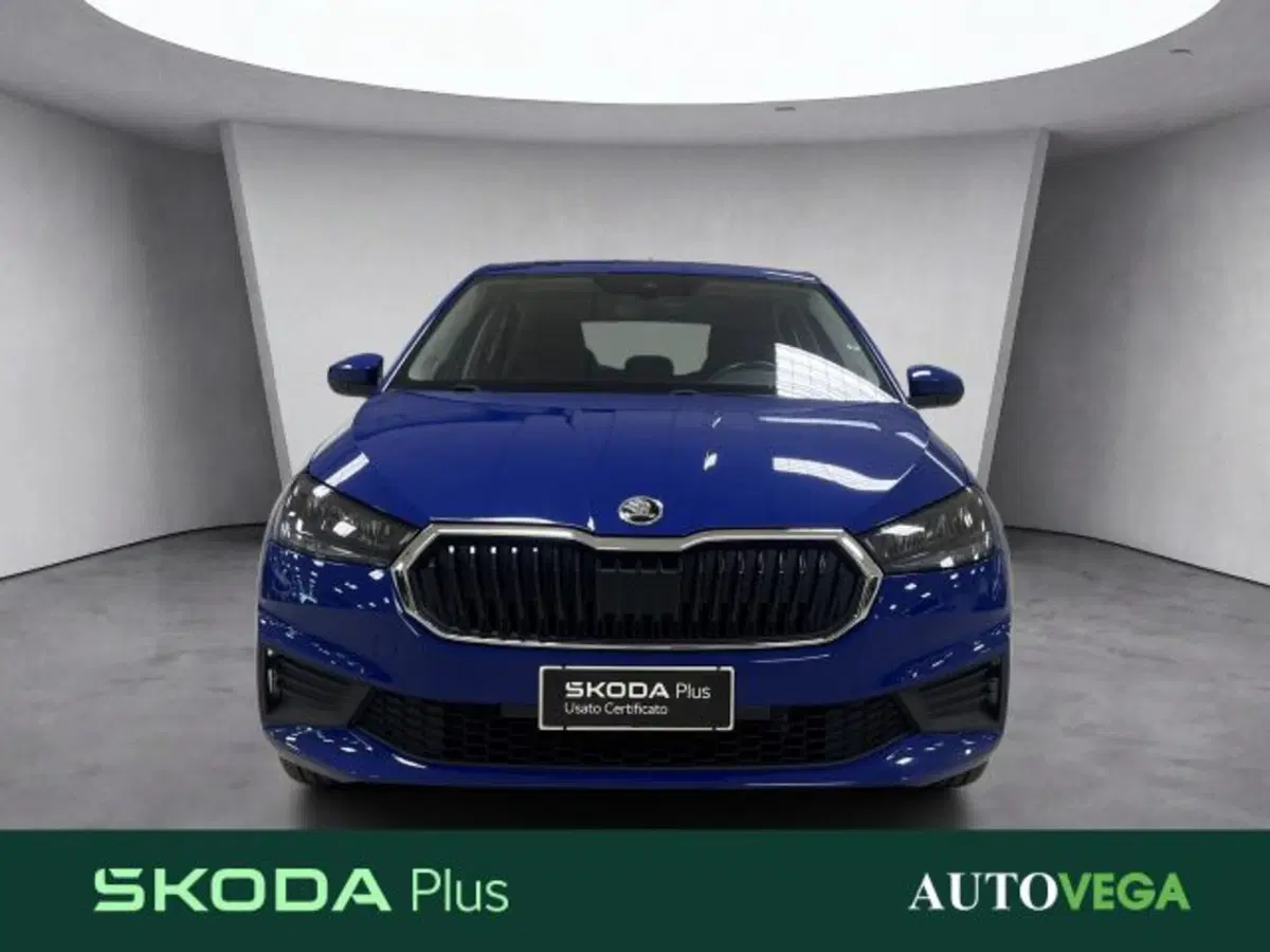 Skoda Fabia usata a Vicenza (4)