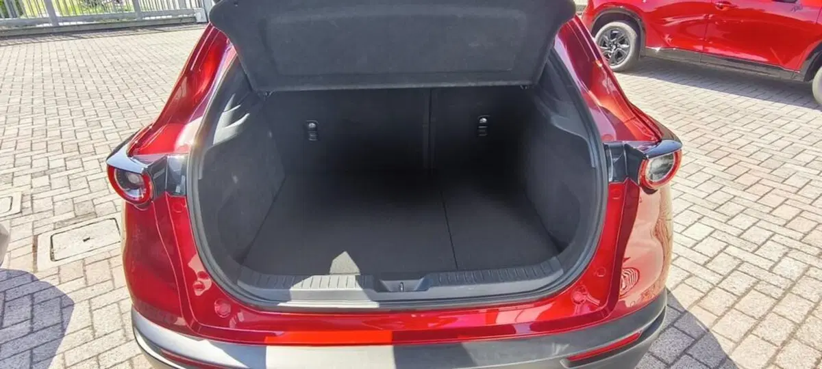 Mazda CX-30 usata a Bergamo (9)