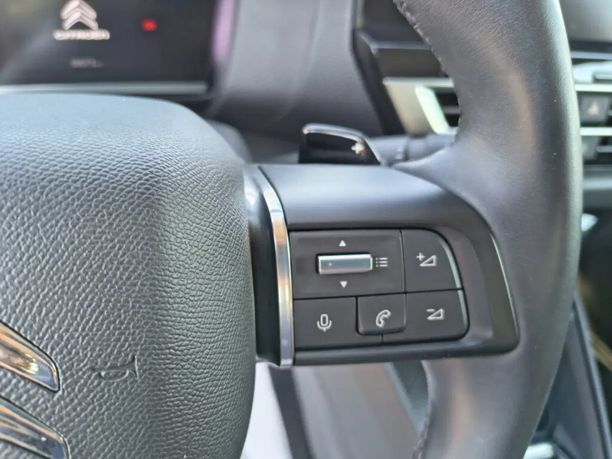 Citroen C4 usata a Firenze (15)