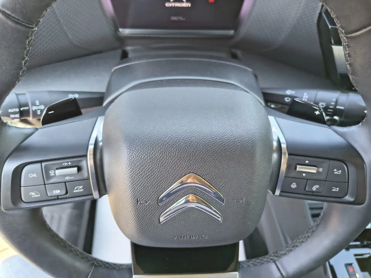 Citroen C4 usata a Firenze (16)