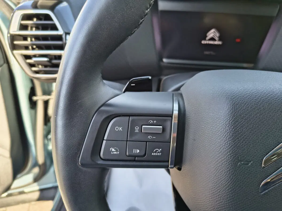 Citroen C4 usata a Firenze (17)